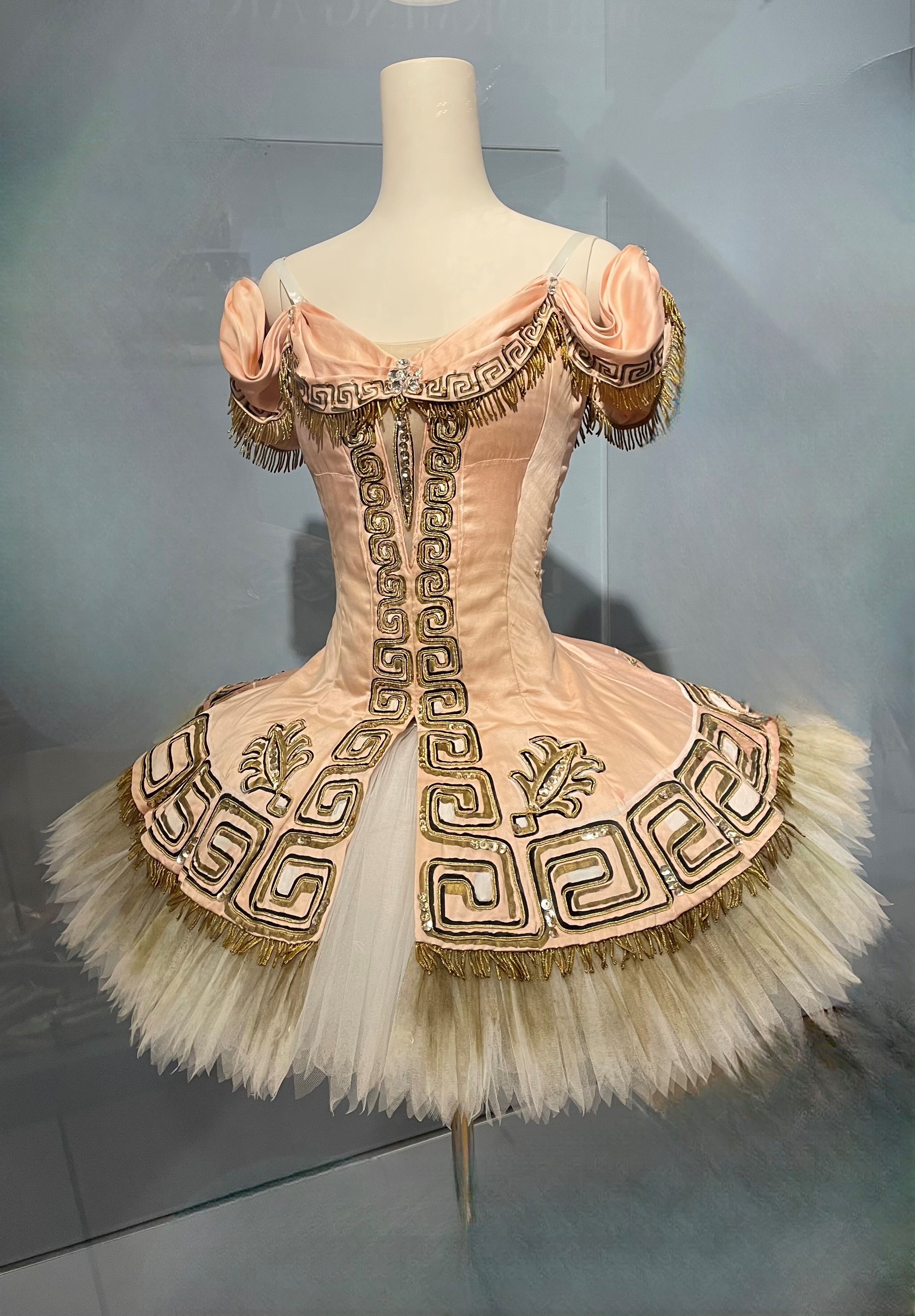 a dress made for Darcey Bussell with gold and silver embroidery.