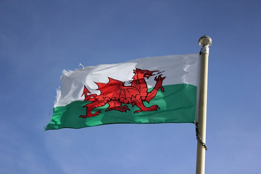 green and white flag with red dragon flying in wind