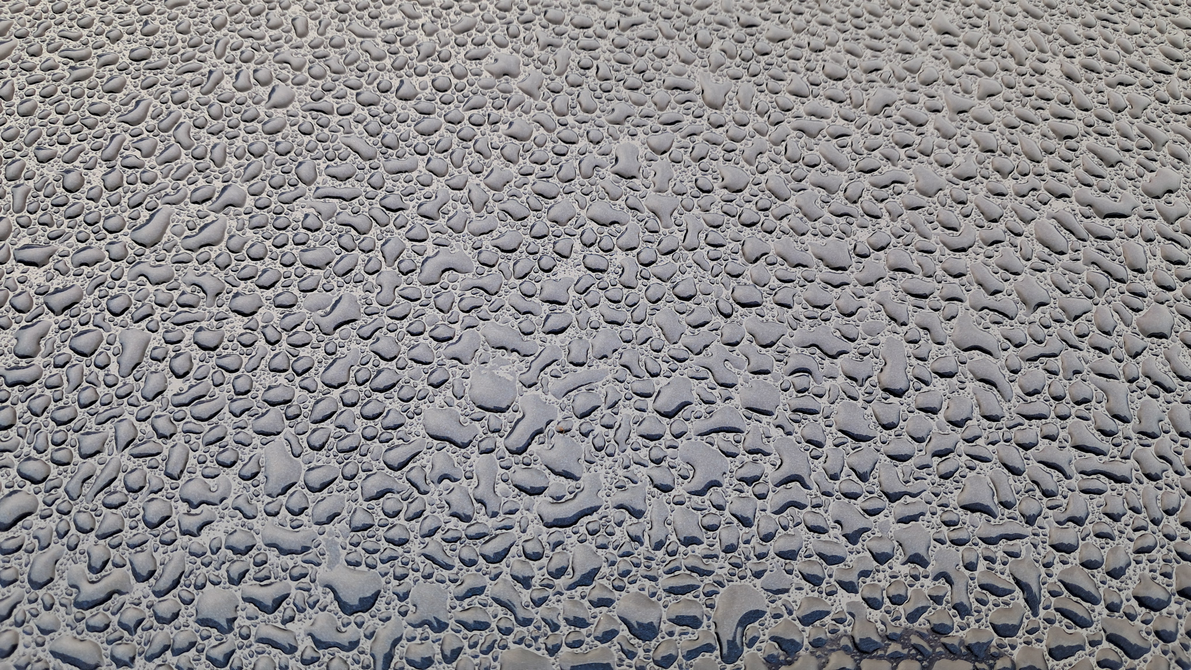 Photo of rain drops on a black surface