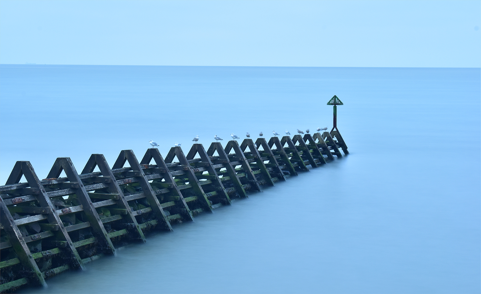 Photo of seagulls on a breakwater