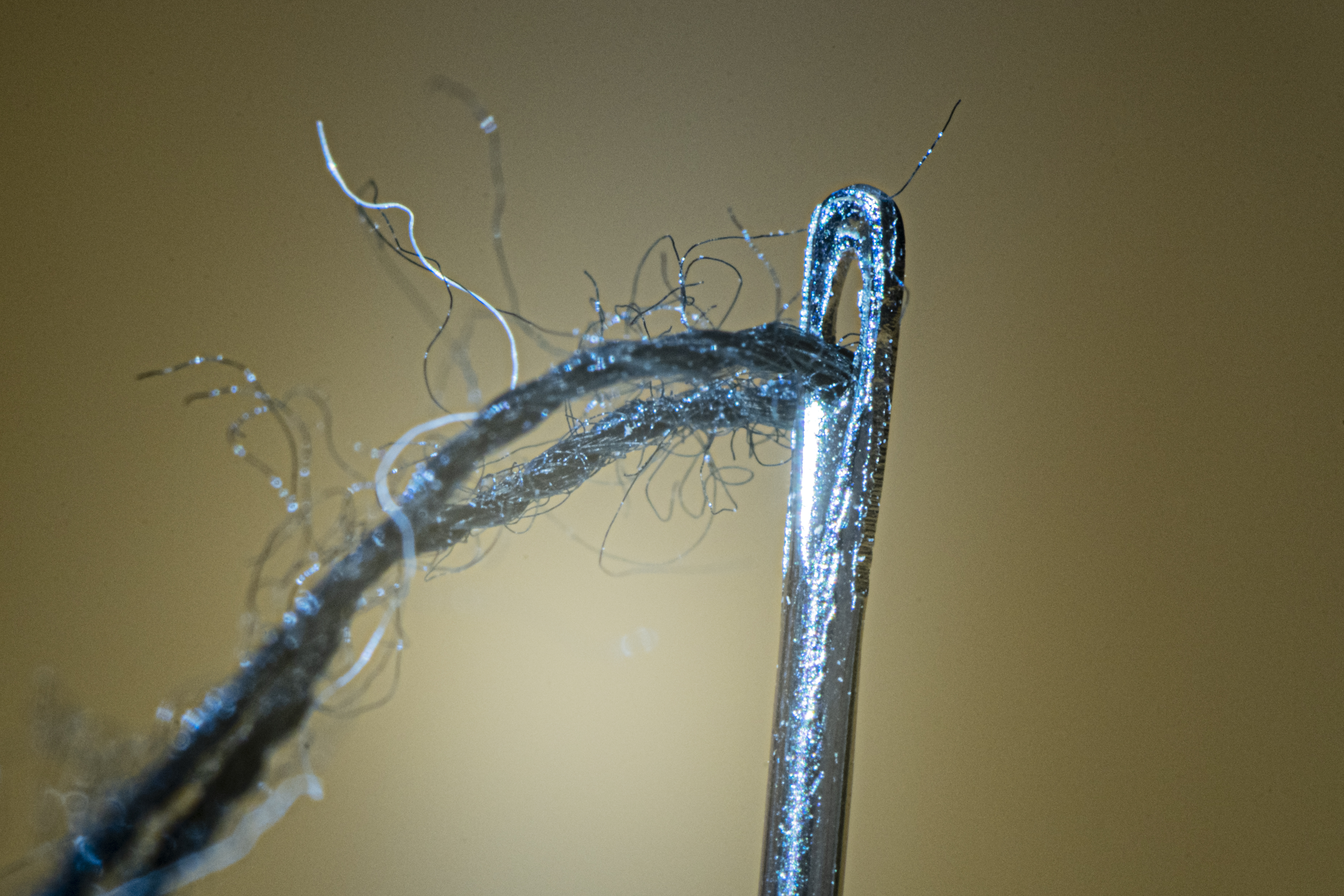Close up photograph of a needle and thread