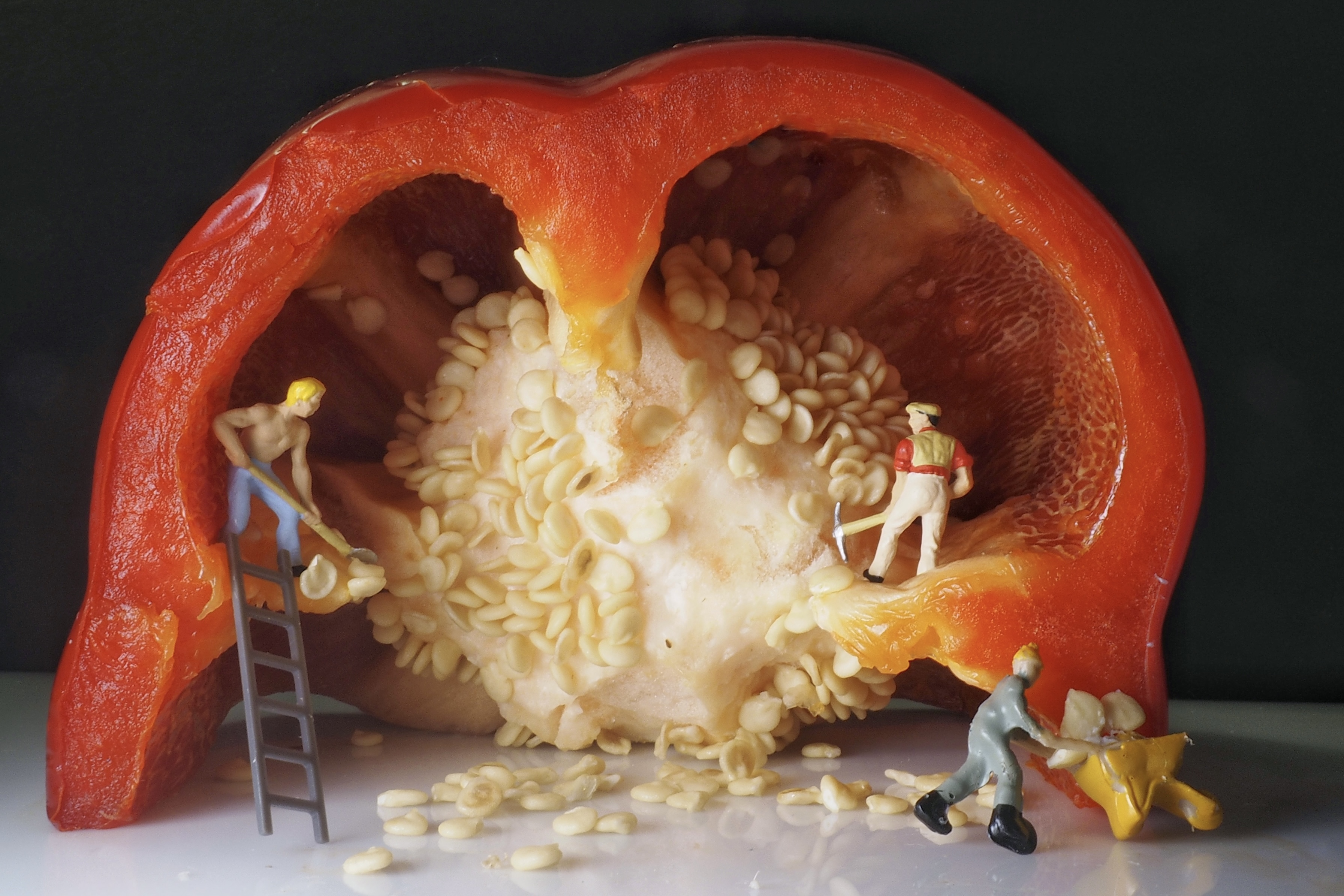 Close up of a red pepper with small toy miners