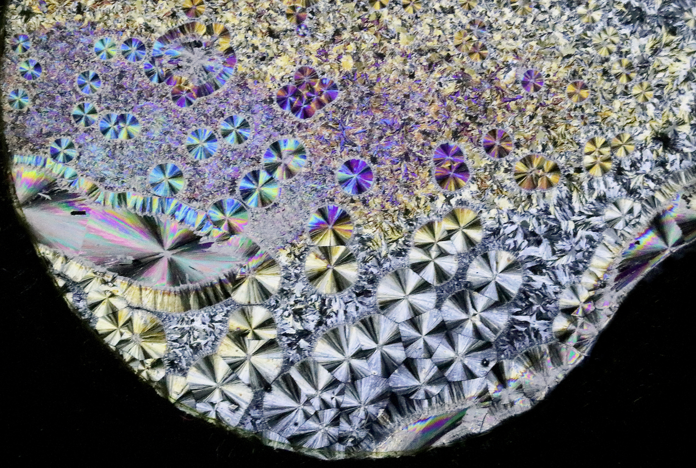 Photomicrograph of crystallisation