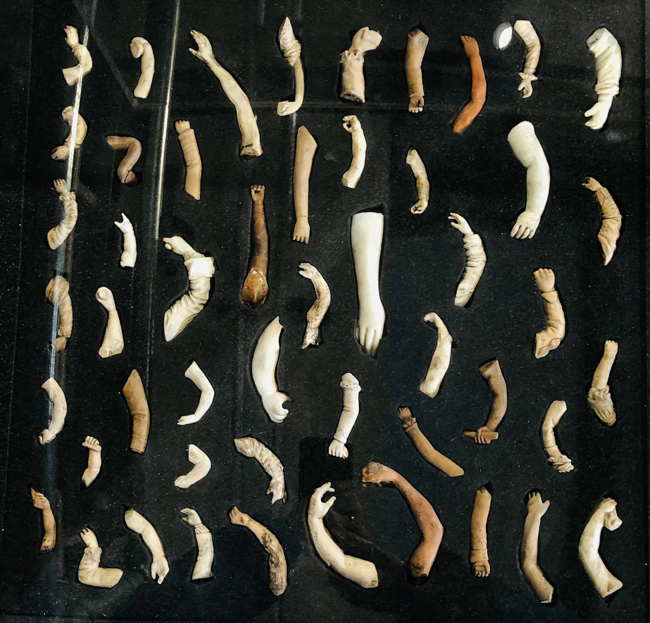 Photo of doll's arms in a black case