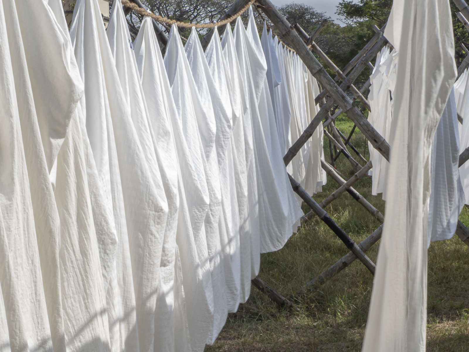 Photo of white sheets drying