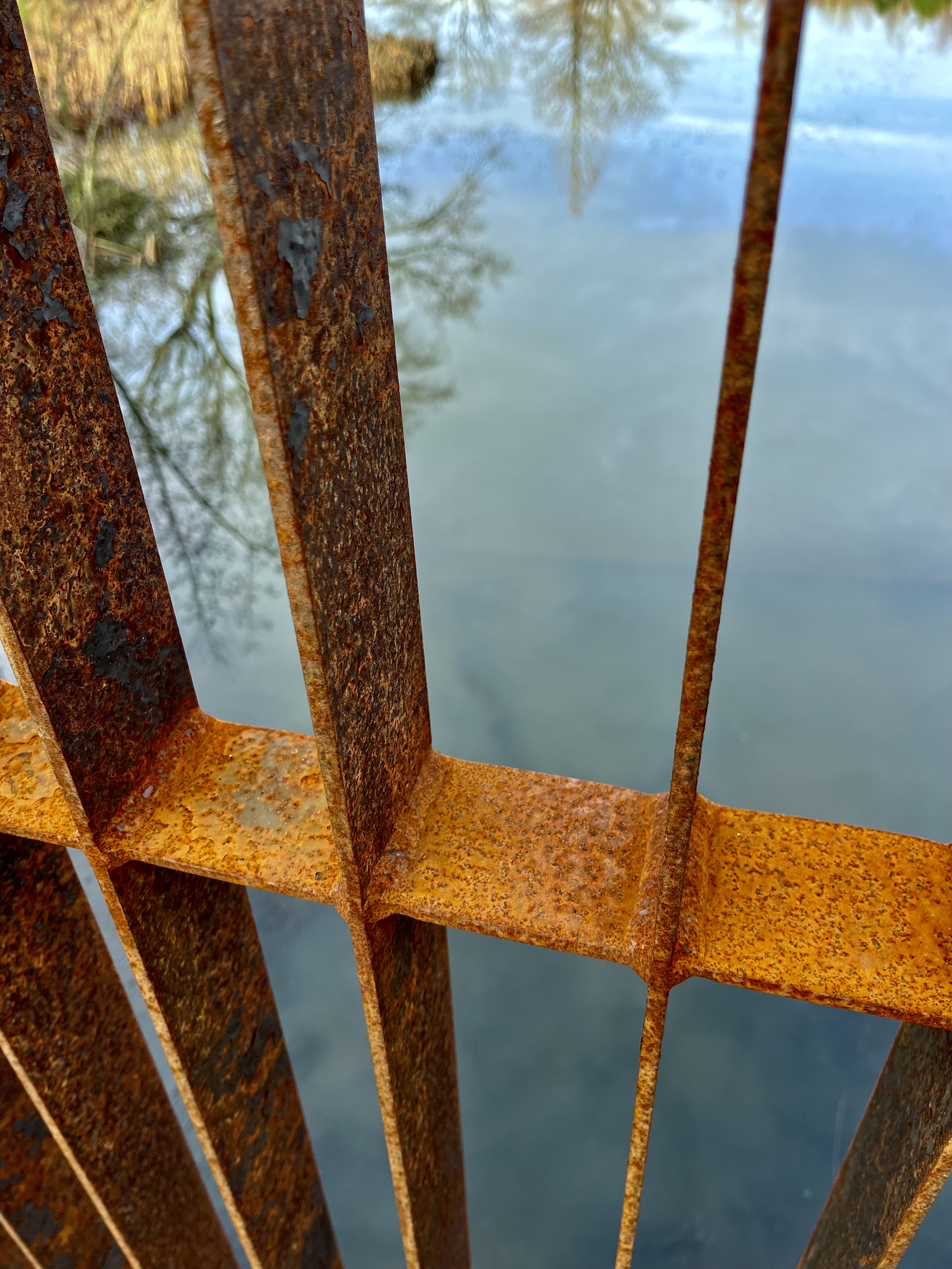 Photo of sky reflected in water seen through a rusty fence