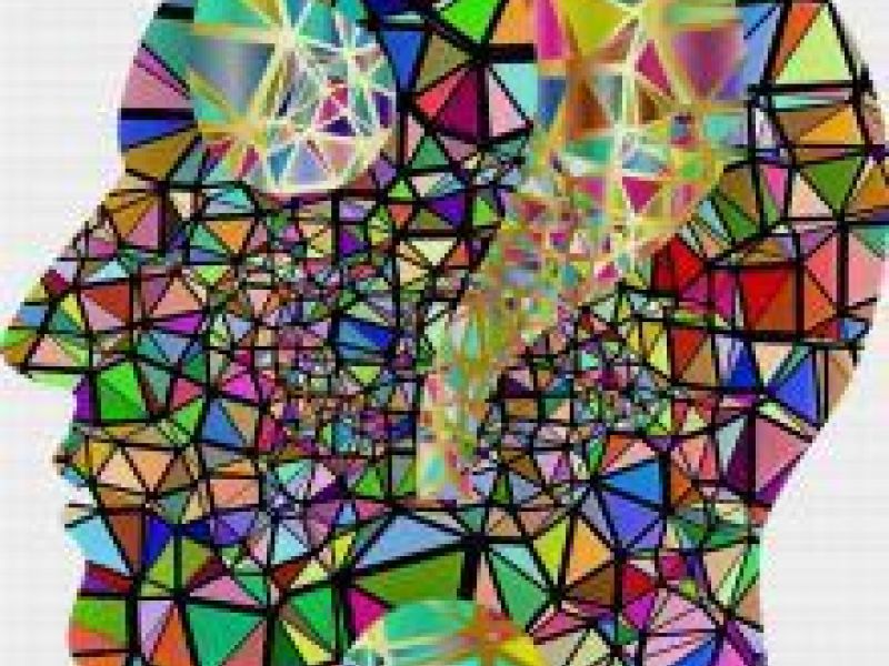 graphic of a head with multi coloured triangles in it and a question mark