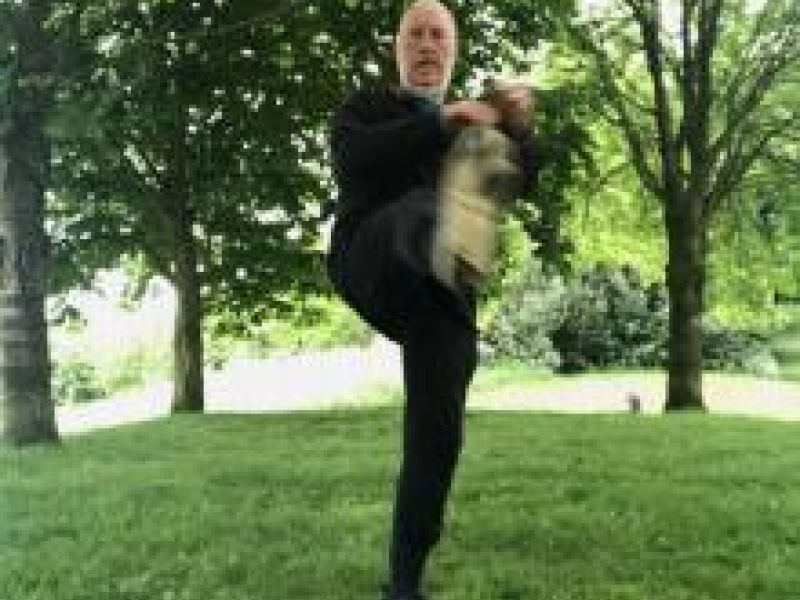 man in park doing tai chi